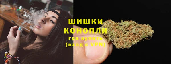 молекула духа Заводоуковск