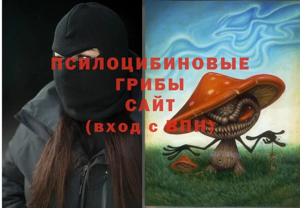 spice Заволжск