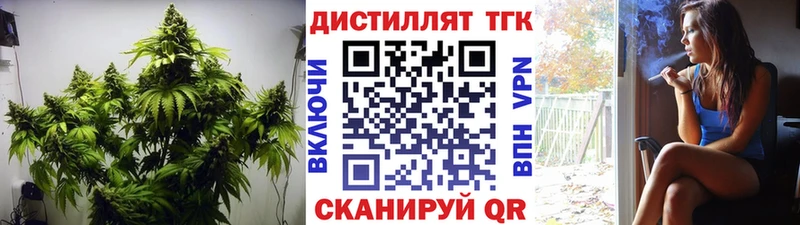 МЕГА как зайти  закладка  Карачев  Дистиллят ТГК вейп 