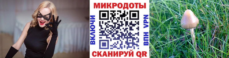 закладка  Карачев  это официальный сайт  Галлюциногенные грибы Psilocybine cubensis 